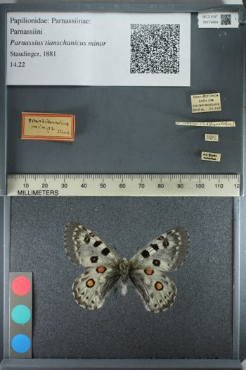 Media type: image;   Entomology 174864